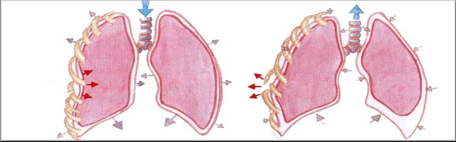 ccct33