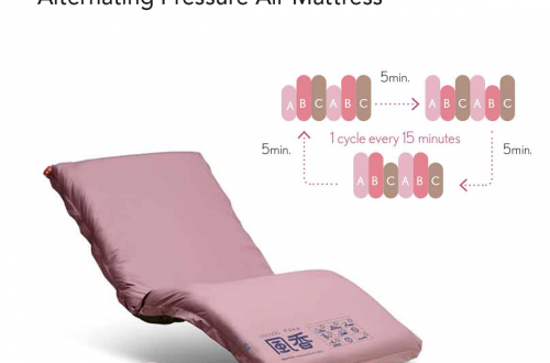 Rakusho Z Series Homecare Bed By Paramount Japan The Golden Concepts 31186679070885 1200x