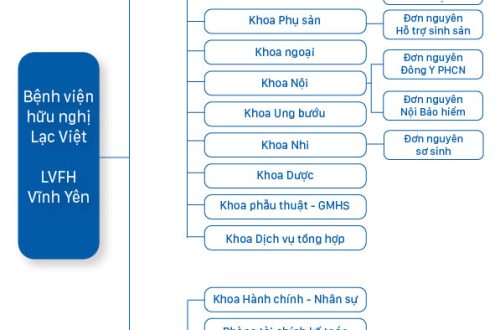 A4 Brochure BỆnh ViỆn 2023 09