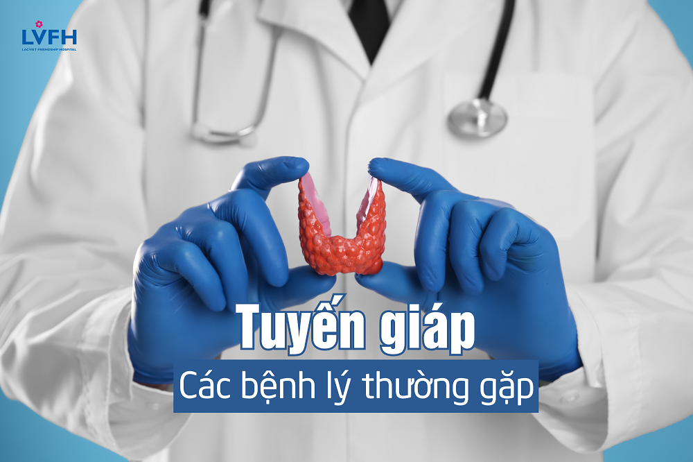 Tuyến giáp dễ mắc phải nhiều bệnh lý khác nhau, ảnh hưởng nghiêm trọng đến sức khỏe và chất lượng cuộc sống của người bệnh.