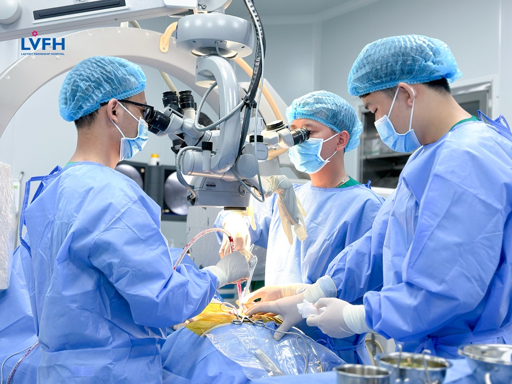kính hiển vi điện tử Zeiss quan sát rõ nét từng chi tiết cấu trúc mô và dây thần kinh